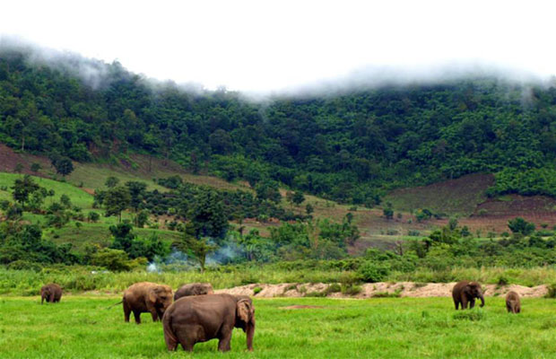 Mayura Puchrey Zoo